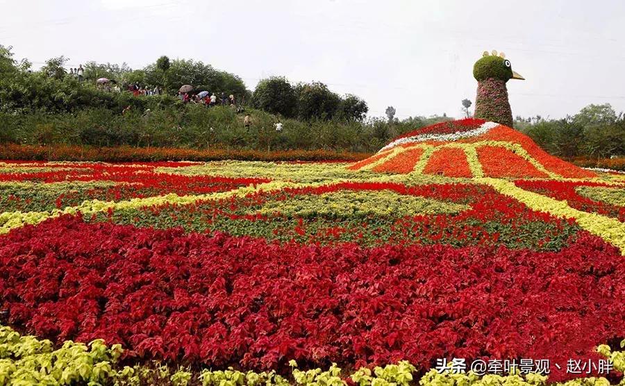 踏春寻美景,踏春赏花梯田漫步