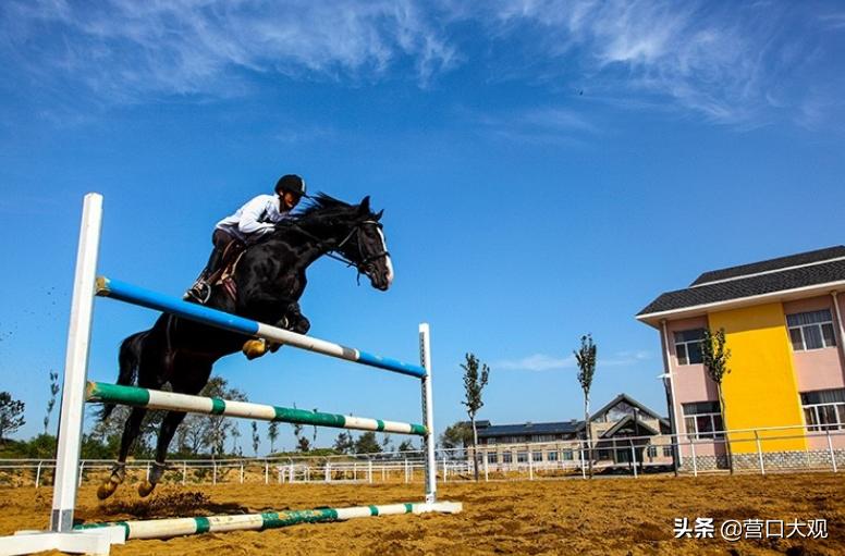 在营口如何体验奥运项目?