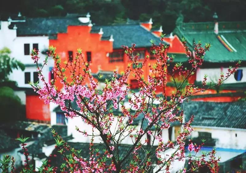 去黄山休宁登这座山！不去北京，也能拍出故宫范er！