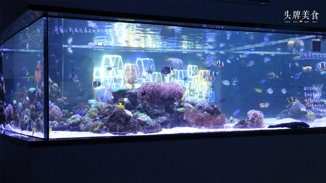 绚丽珊瑚海300+种海底生物，火爆盆友圈的网红打卡圣地就在中山路