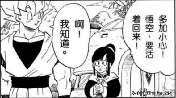 七龙珠琪琪为什么被丑化,七龙珠琪琪和布玛都被控制