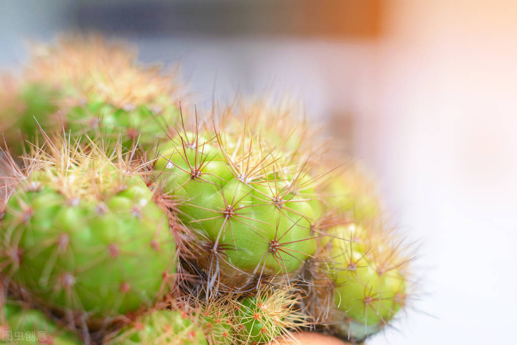 得了痔疮又是学生怎么避免久坐,痔疮手术后久站久坐不能超过多久