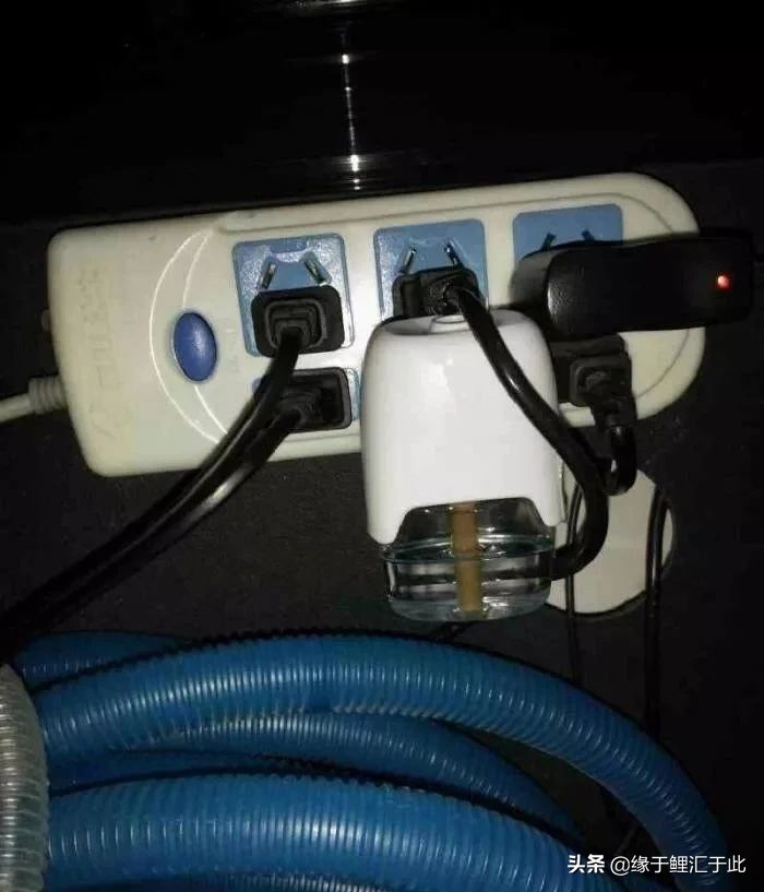 养鱼灭蚊虫最佳方法,养鱼驱蚊最好的方法