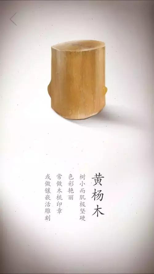 盘点木头！珍贵木材高清写真集