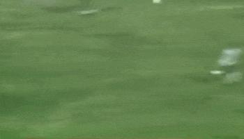 贾秀全怎么评价男足,贾秀全丢17球