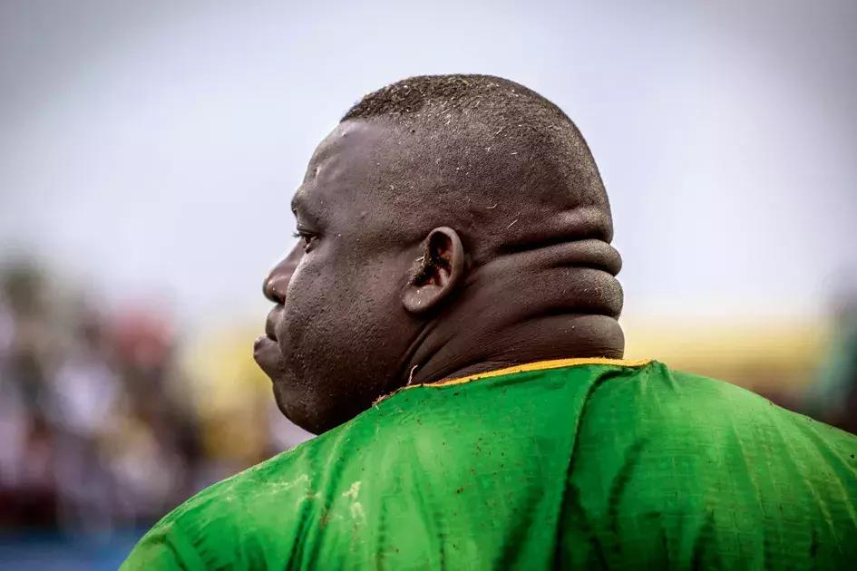 塞内加尔摔跤场景,塞内加尔人摔跤视频