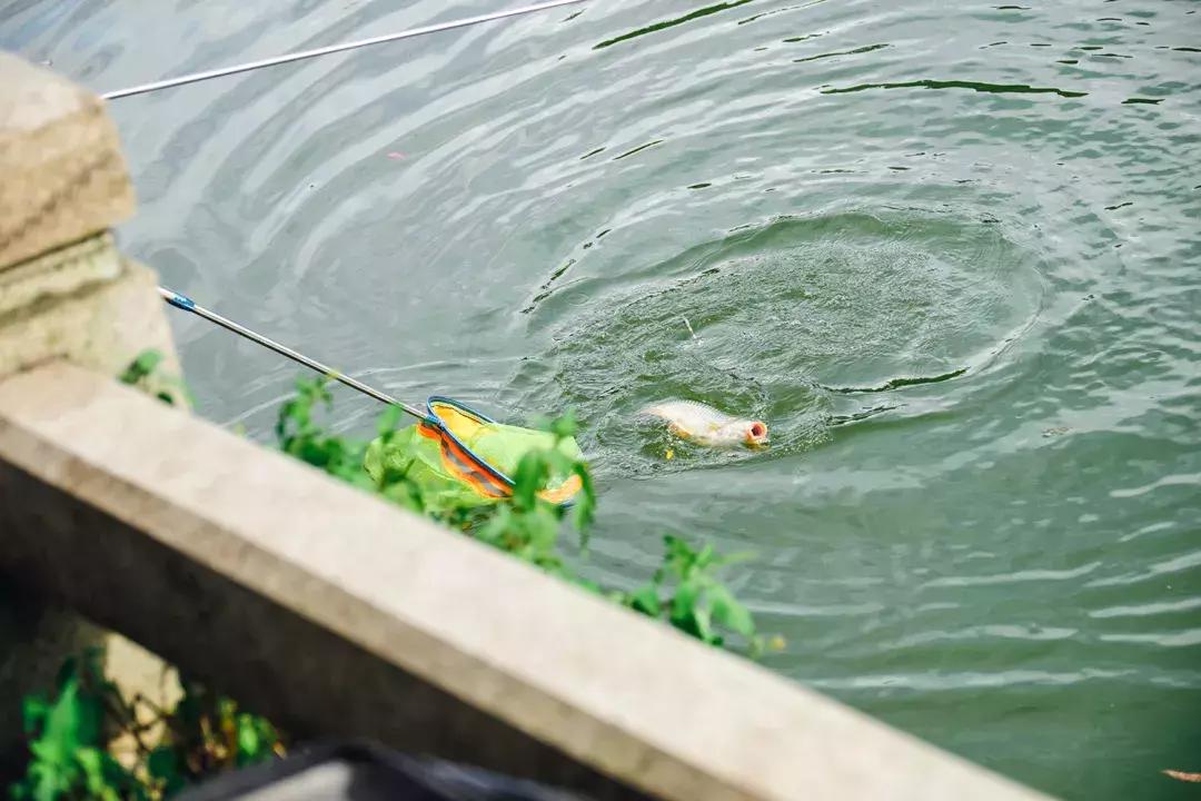 深圳银湖山游玩,深圳银湖有什么好玩的地方