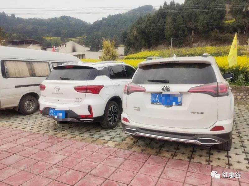 成都桃花花海,成都绕城周边花海