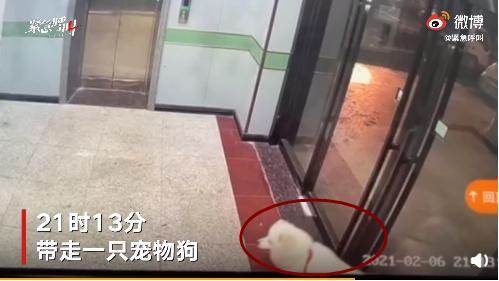 货拉拉女孩跳车窗身亡事件原因,货拉拉跳车身亡女孩事件直播