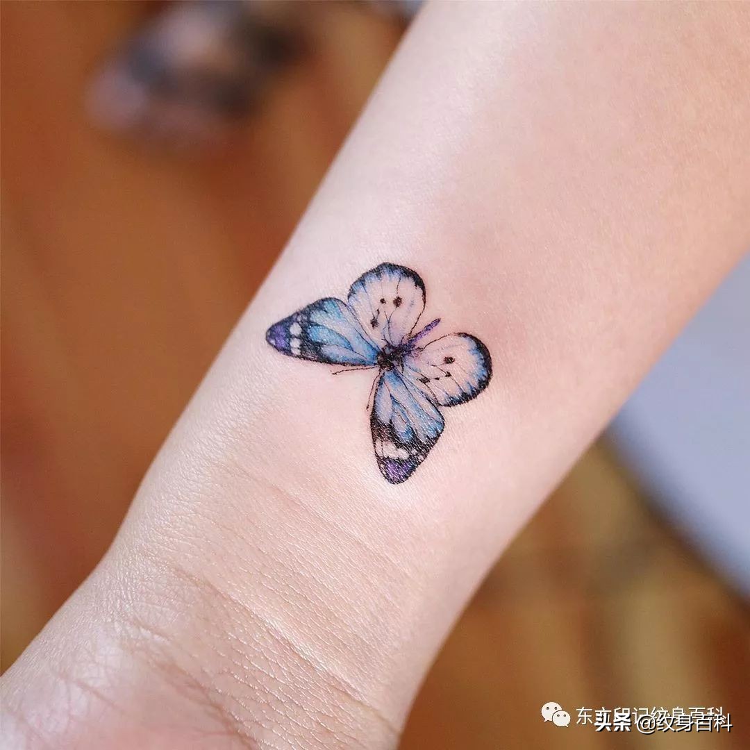 蝴蝶纹身图案代表什么,代表自由的蝴蝶纹身