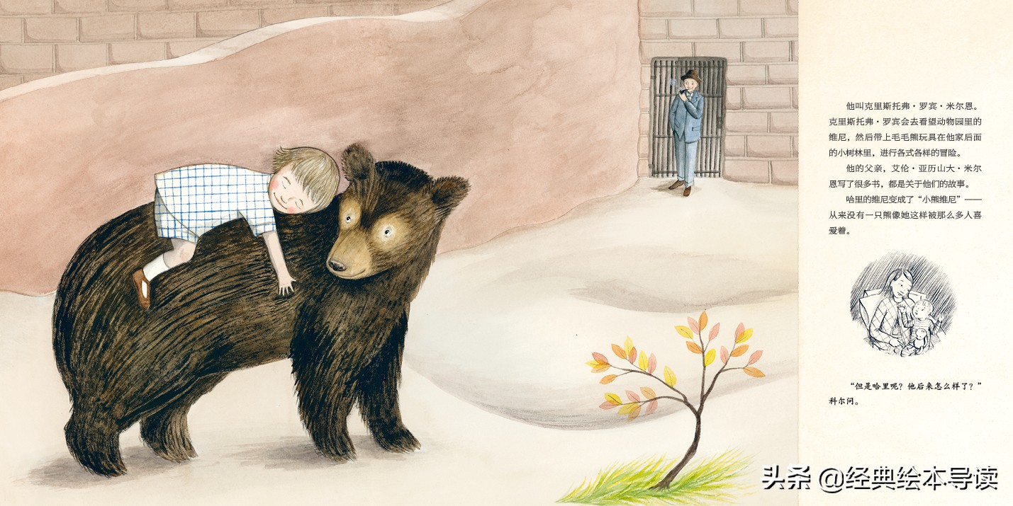 一只世界著名小熊的真实故事——《寻找维尼》导读