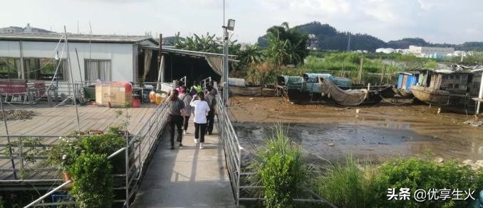 在广州生活十几年了，既然不知道有这么多极美的岛，赶紧收藏吧