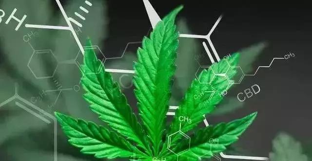 新刊丨外资直销的生存密码；海外电商市场图鉴；迷雾中的浪莎