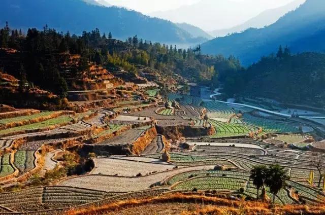 大自然唯美黄山风景摄影,打卡歙县蜈蚣岭高山茶梯田