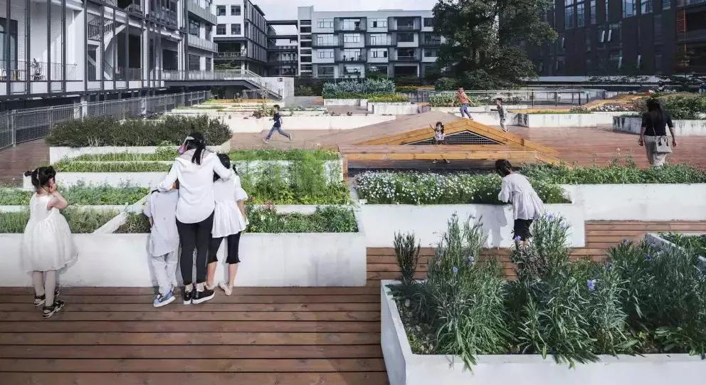 “双减”在两江|金山·云翠小学：关注学生个性发展让教育“智慧”更“至善”