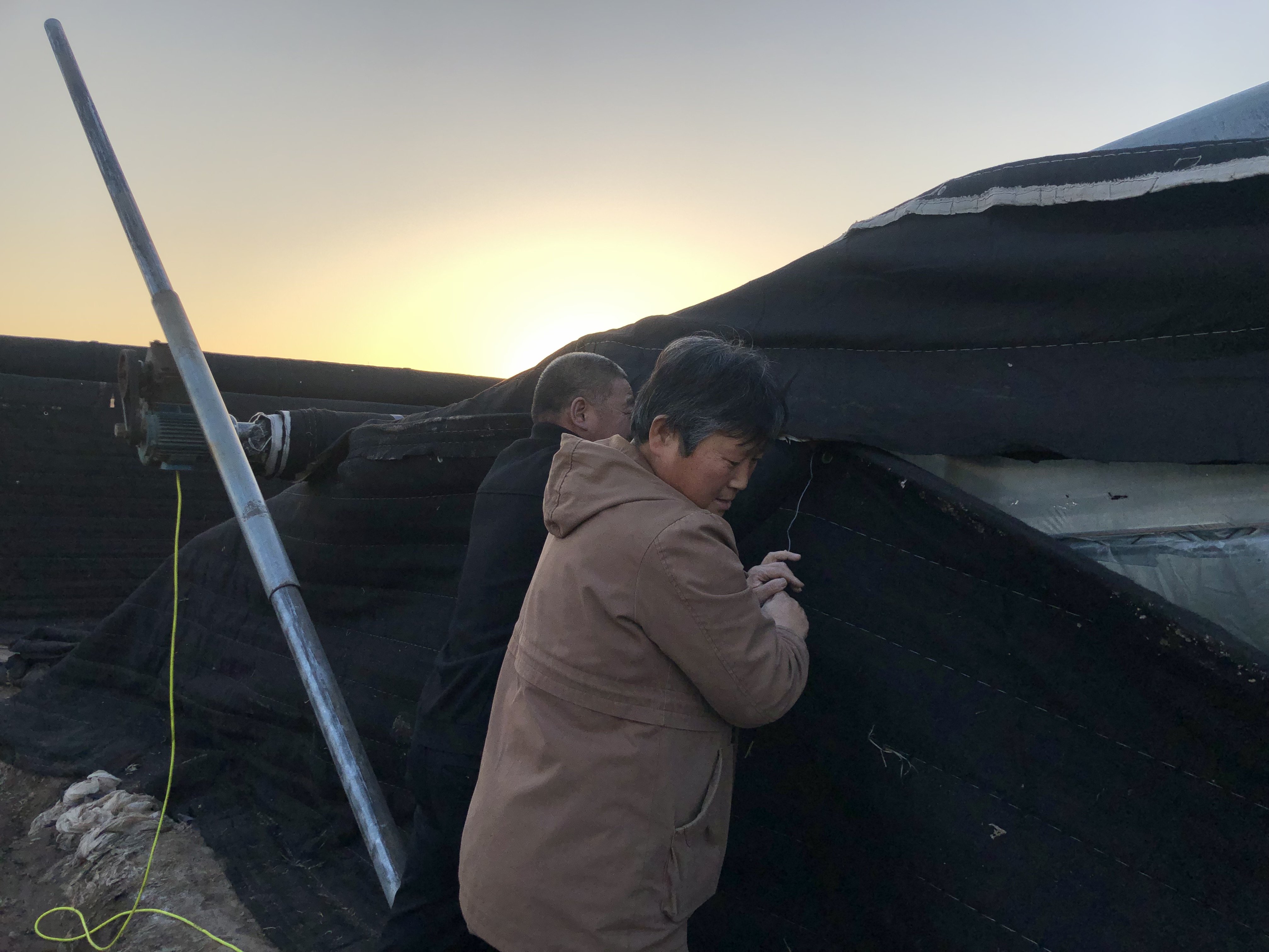 农民夫妇天猫开店：只卖一种东西，年入百万元