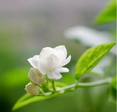 超皮的高情商幽默句子,高情商幽默风趣个性签名短句