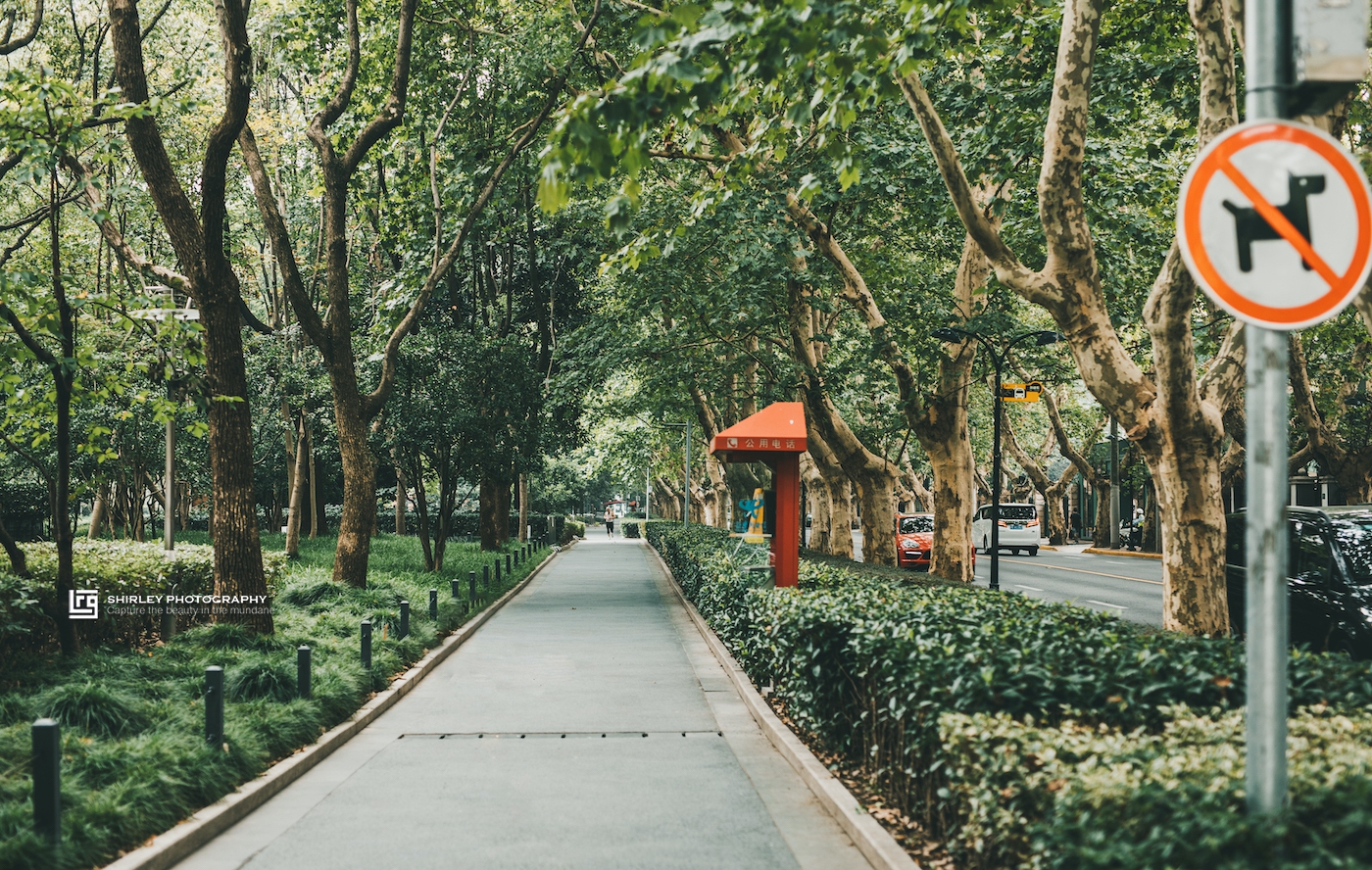 上海香榭丽舍大街,上海有一条东方的香榭丽舍大街