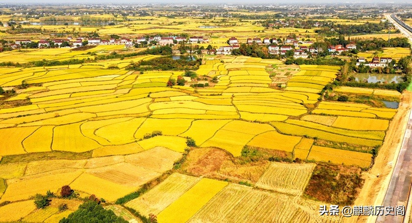 《江城子·田园春耕》看苍山茫茫，黄牛脚浅，写不尽对田园的赞美