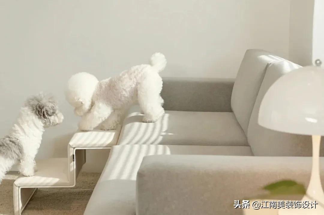 没有阳台的房子养宠物怎么装修,家里养宠物该怎么装修