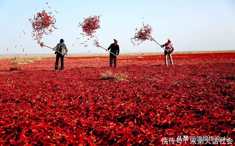 密集恐惧症心理分析,密集恐惧症并不可怕