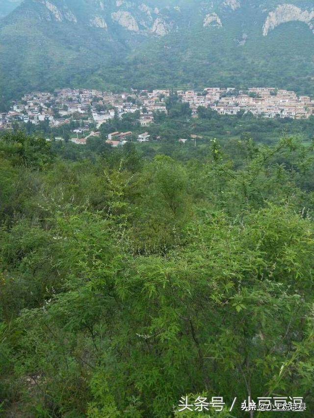 涉县最美小村庄,我的家乡山沟沟里