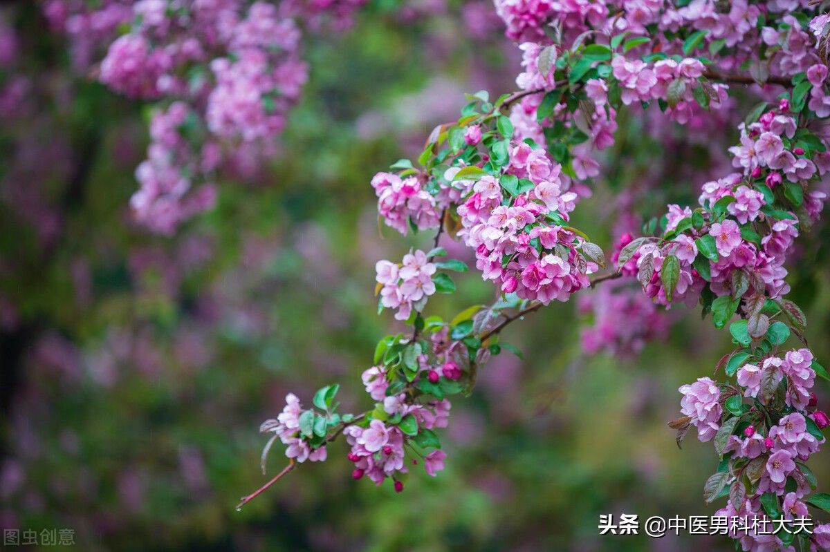 肾虚怕冷失眠盗汗脚心出汗,畏寒怕冷燥热盗汗什么原因