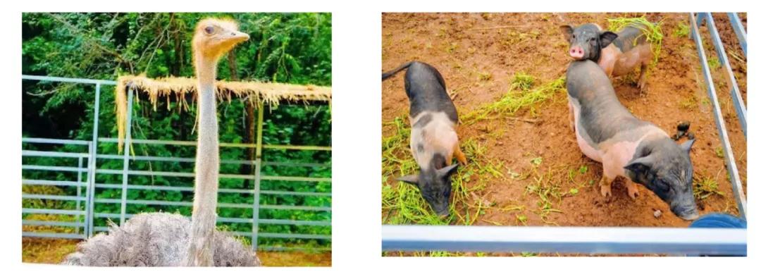 好消息！北京超劲爆的自然部落，军人、消防、医护人员持证免费