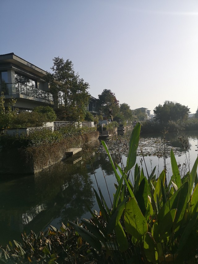 诗意栖居江南,诗意水乡周庄