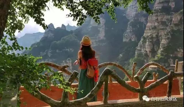 白石山山顶尚云间酒店多少钱,白石山风景区尚云间酒店电话