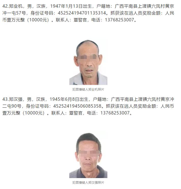 广西平南扫黑除恶抓捕现场,广西平南涉黑涉恶人员