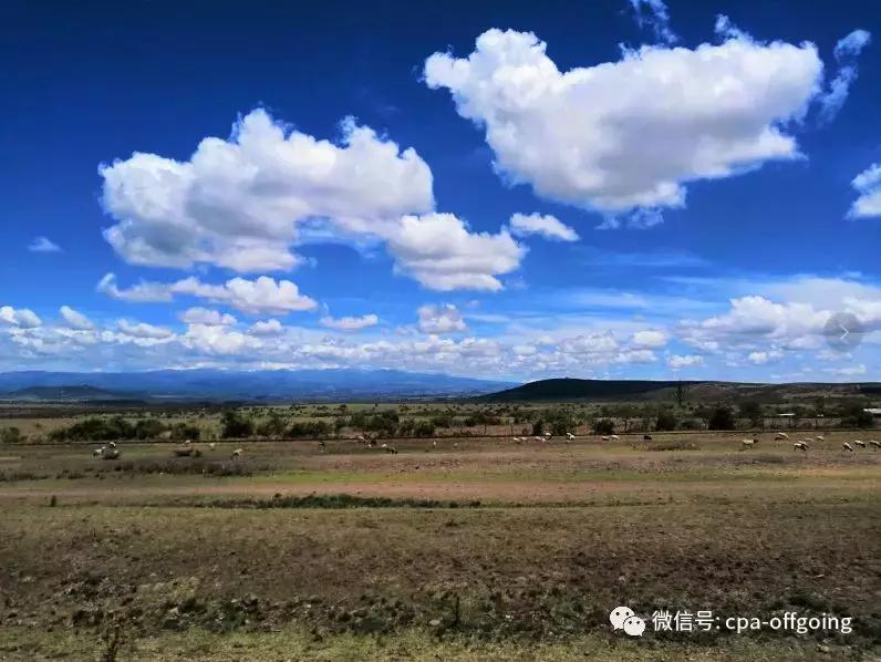 这个野奢的国度,欧美、日韩人都爱去,为何我们国家没人去?