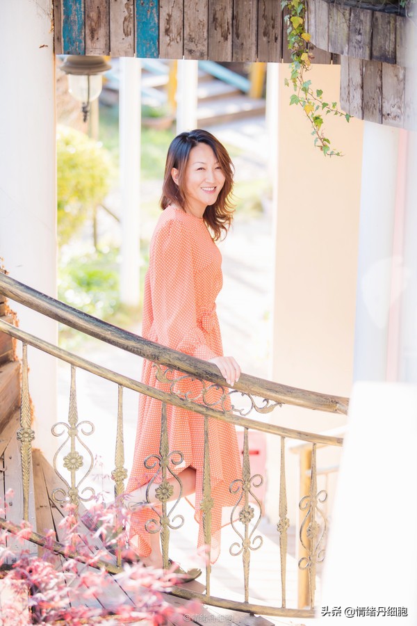 邮轮游选择哪个游轮好,邮轮旅游全攻略公主号