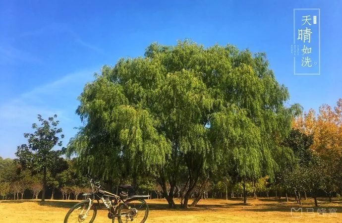 南京免费的公园,太全了全国旅游简图