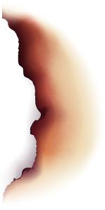 柏林系统海水缸,海缸柏林系统多久完善