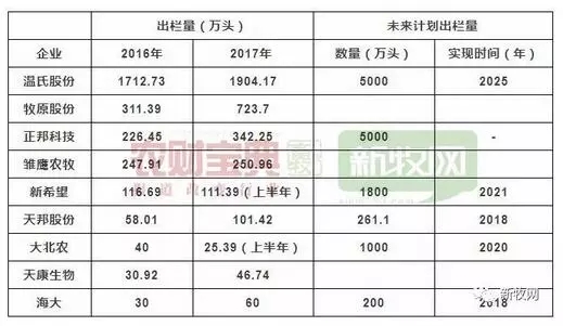 首富破产完整视频,首富去世无人敢爆料第几集