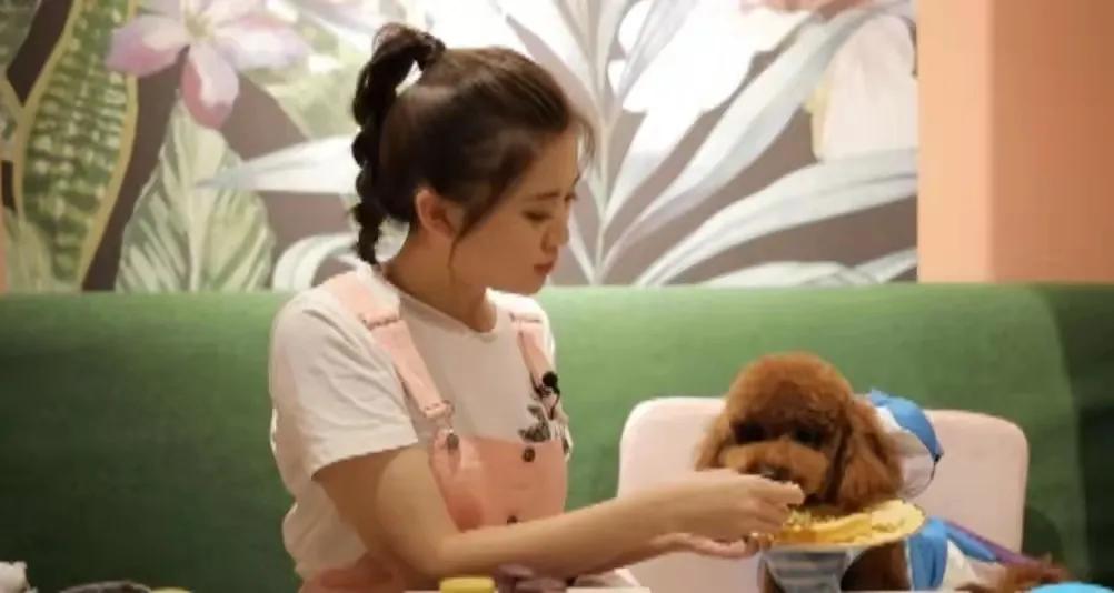 宠物生活馆盘点,北京人气宠物乐园推荐