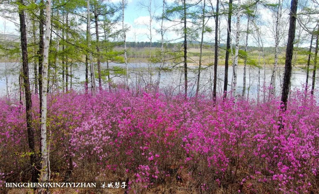 寻找中国最美的春季,探寻中国最美秘境