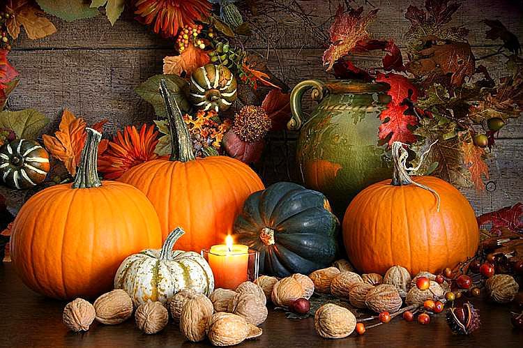 感恩节除了感恩还有什么？这个国家的习俗发人深省！