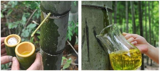 网红竹酒是正品吗,竹子酒网红