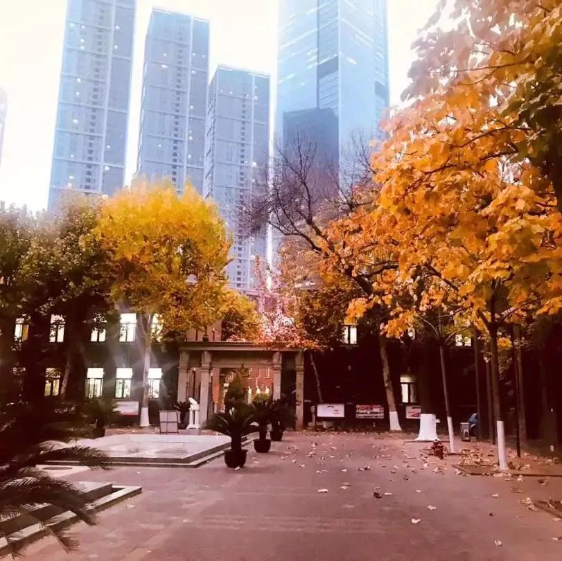 天津市耀华中学冯耀忠,天津市耀华中学招聘