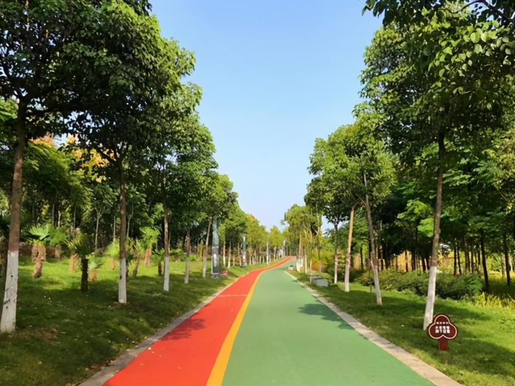 洛阳粉色花海,洛阳近郊惊现绝美花海