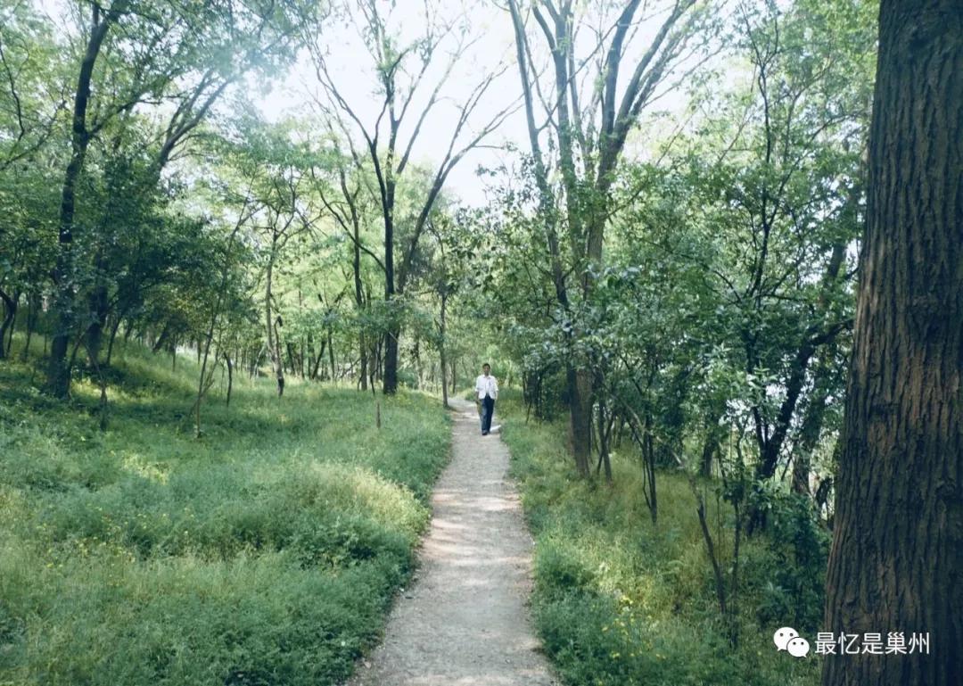 我心中的百年名校,巢湖一中曾经的辉煌