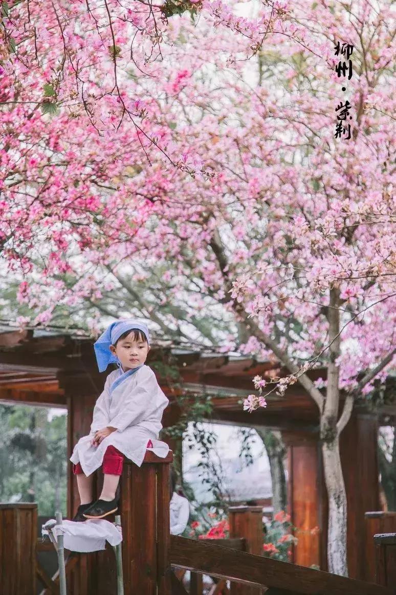 广西有座小城,广西的一座小县城