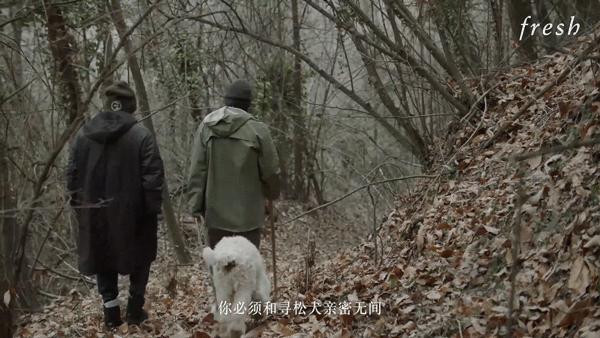 fresh限量款面膜,fresh白钻松露面膜