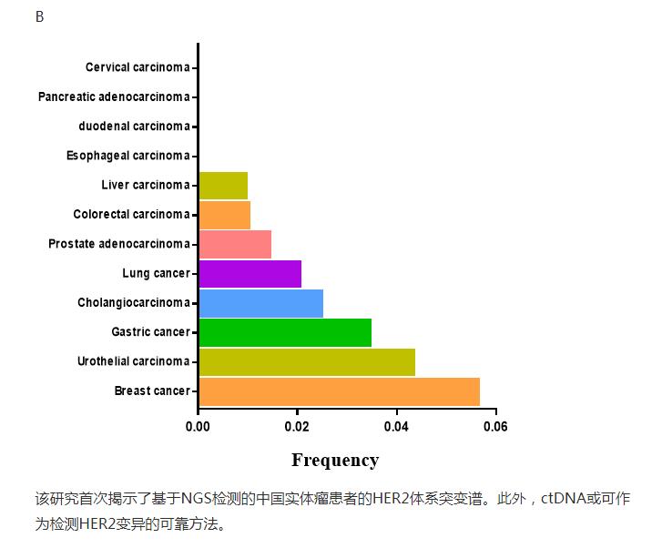 her2肺癌靶向药入集采了吗,肺癌her2靶向药治愈率