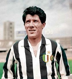 足球转会解释,足球转会新闻模板