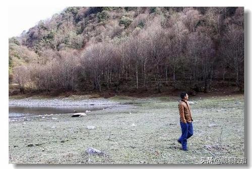 外汇交易员失败的现状,外汇交易员交易过程