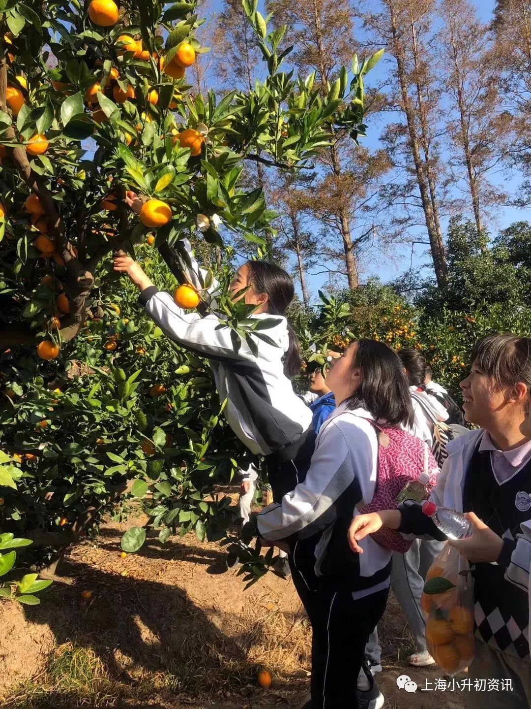 浦东排名前十的中学,上海浦东中学排名前二十