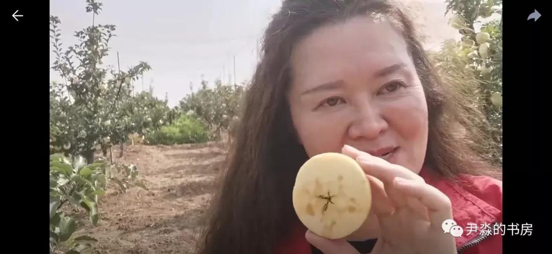 种苹果籽的人,种李子的人